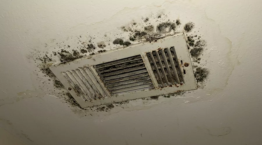 What Causes Mold in AC Vents?