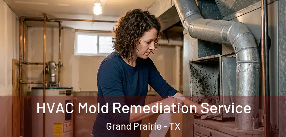  HVAC Mold Remediation Service Grand Prairie - TX