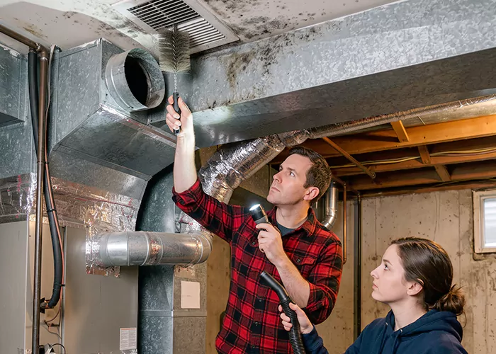 Premier HVAC Mold Remediation Company in Grand Prairie